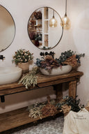 Which Plant Fits Your Lifestyle?