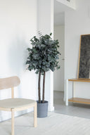 How to Take Care of Indoor Plants Like a Pro