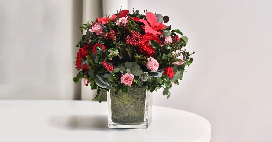 Nicolai Bergmann Collaborates with Verdissimo