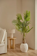 Common Plant Care Mistakes and How to Avoid The