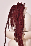 Amaranthus