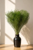 Broom