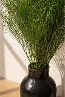 Broom