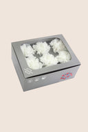Carnations - Box 6 heads