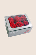 Carnations - Box 6 heads