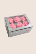 Carnations - Box 6 heads