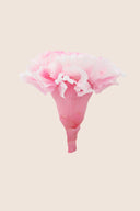 Shaded Carnation - Box 6 heads