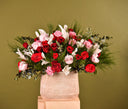 Gardenia- Box 3 heads