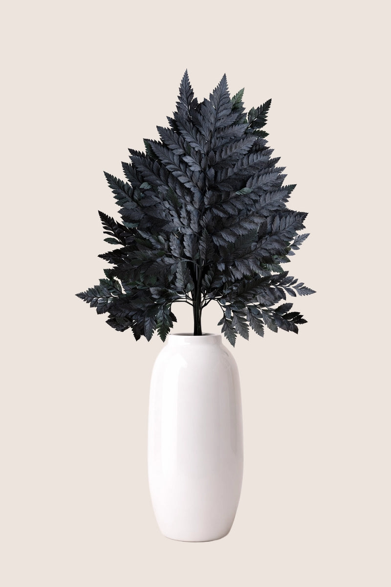 Leather Fern