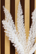 Fox Tail