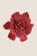 Gardenia- Box 3 heads