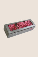 Gardenia- Box 3 heads