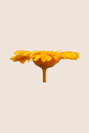 Gerbera - Box 4 heads