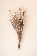 Helychrisium Diosmi (Rice flower)