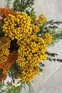 Helychrisium Diosmi (Rice flower)