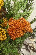 Helychrisium Diosmi (Rice flower)