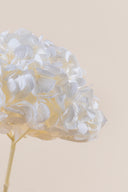 Hydrangea Premium