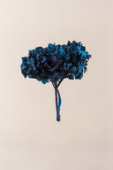 Hydrangea Standard
