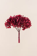Hydrangea Standard