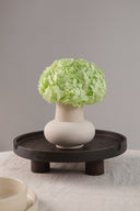 Hydrangea Standard