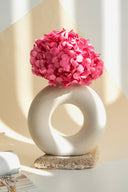 Hydrangea Standard