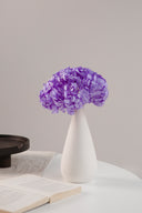 Hydrangea Standard