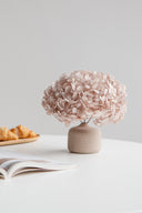 Hydrangea Standard