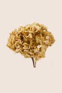 Hortensia Standard