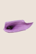 Mini Calla - Box 5 heads
