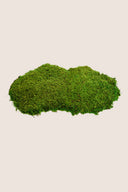 Flat Moss Bag - Pack 1.1 Lb.