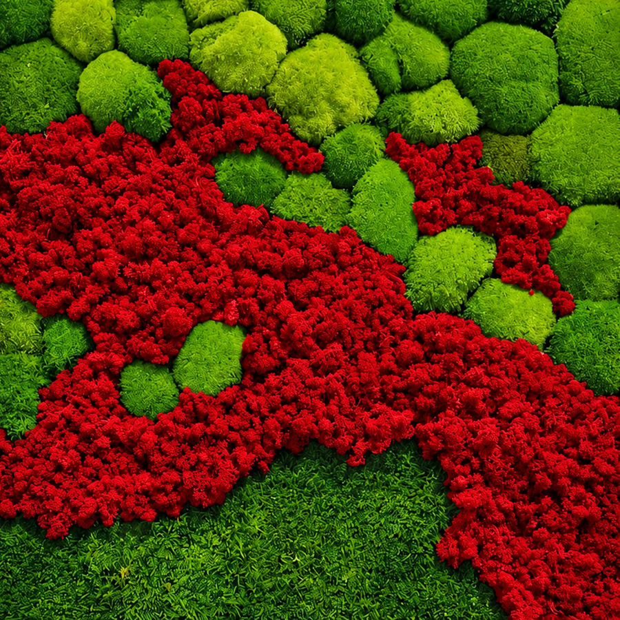 Moss