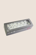 Tuberose - Box 12 heads