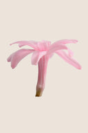 Tuberose - Box 12 heads