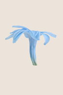 Tuberose - Box 12 heads