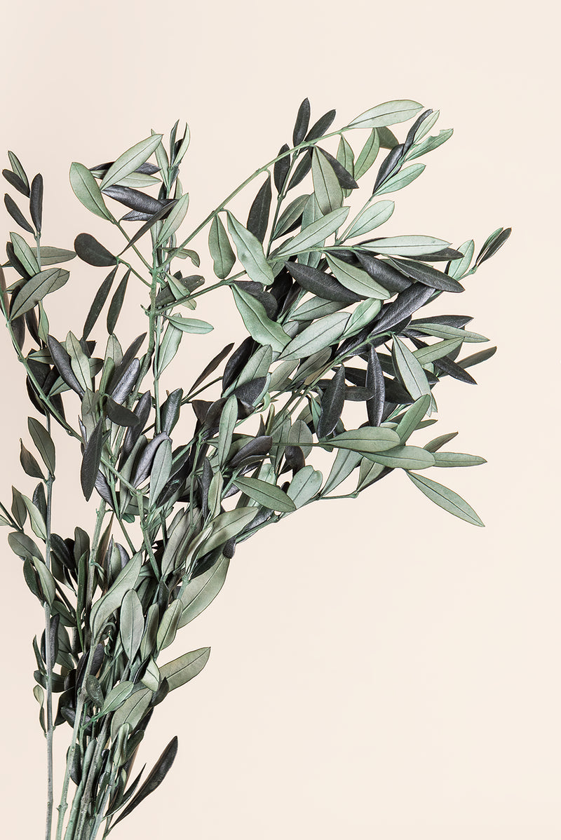 Olive Branch Bulk - Pack 5.5 Lb.