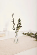 Olive Branch