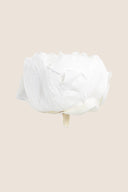 Peony - Box 3 heads