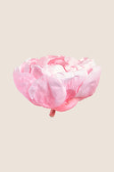 Peony - Box 3 heads