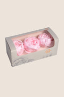 Peony - Box 3 heads