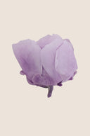 Peony - Box 3 heads