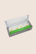 Gerbera Standard Stem - Box 4 u.