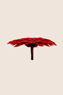 Gerbera Standard Stem - Box 4 u.