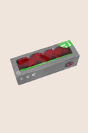 Gerbera Standard Stem - Box 4 u.