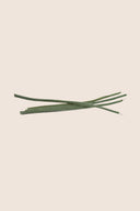 Gerbera Standard Stem - Box 4 u.