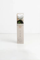 Amorosa Garden Rose Gift Box Stem Rose - Pack 25 u.
