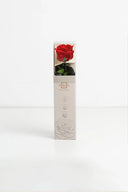 Amorosa Garden Rose Gift Box Stem Rose - Pack 25 u.