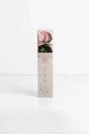 Amorosa Garden Rose Gift Box Stem Rose - Pack 25 u.