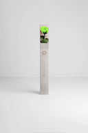 Amorosa Standard Gift Box Stem Rose - Pack 20 u.