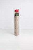 Amorosa Standard Gift Box Stem Rose - Pack 20 u.