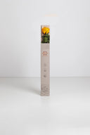 Amorosa Standard Gift Box Stem Rose - Pack 20 u.